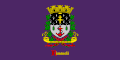 Flag of Rimouski