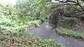 River Rom in The Chase Nature Reserve