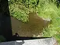 A branch of the Simonson Brook at Ridings Parkway, a deep pool containing many fish
