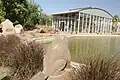 Meroitic frog