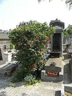 Graves