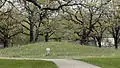 Prehistoric burial mounds