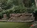 Bandhavgarh National Park