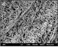 A short-peptide-based hydrogel matrix, capable of holding about one hundred times its own weight in water. Developed as a medical dressing.
