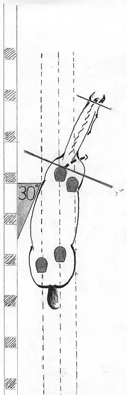Shoulder-in