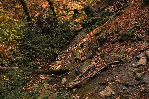 Autumn
