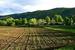 Image 39A plowed field in Bethel, Vermont (from New England)