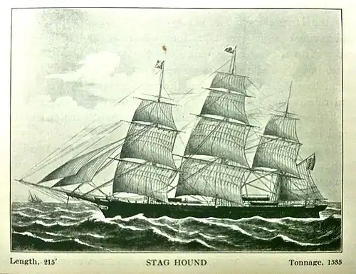 Stag Hound