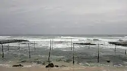 Stilt Farming