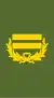 Lieutenant colonel