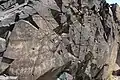 The largest group of petroglyphs in a sacred site