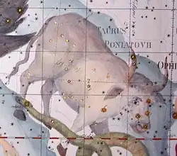 Taurus Poniatovii, constellation originated by Marcin Poczobutt in 1777 to honor the king Stanisław II Augustus[281]