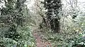 The Chase Nature Reserve