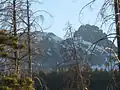 Thompson Peak from near Stanley Ranger Station
