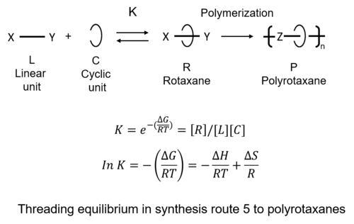 Threading equilibrium in synthesis route 5 to polyrotaxanes