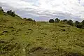 Totternhoe Knolls