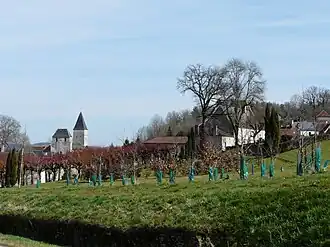 A general view of Tourtoirac