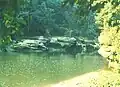 Rock Formations along Turkey Run