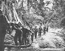 Image 19U.S troops landing in Tanahmerah Bay during Operation Reckless, 1944 (from Western New Guinea)