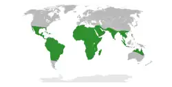 World map showing Vachellia species occurring through out the tropics