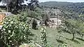 روستای ولیک چال