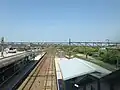 A view of the platforms and tracks. The siding can be seen at the extreme right beyond the island platform.