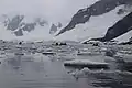 Kayaking in Waddington Bay