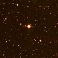 The star