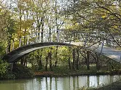 Wolfson bridge